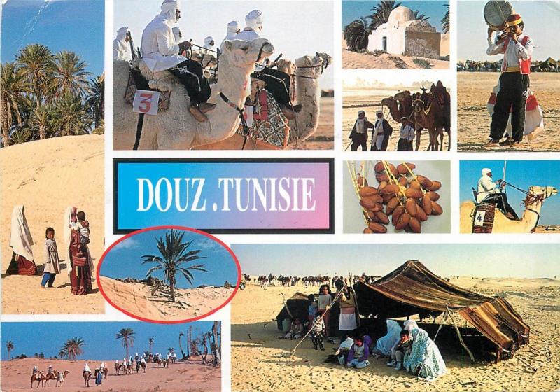 Douz Tunisia arab horse stamp