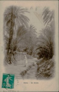 B577 Algeria Biskra 1910