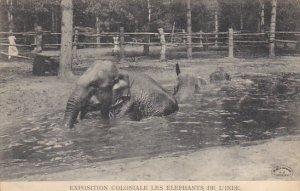 Exposition Coloniale Les Elephants de L'Inde  Hagenbeck Circus and Zoo