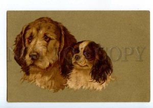 497609 Japanese Chin King Charles Spaniel Wolfhound DOGS Friends Embossed