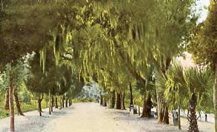 GA- Savannah- Bonaventure Cemetery