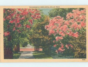 Linen NATURE SCENE Dallas Texas TX AD4081