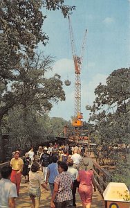Six Flags over Texas and the Fabulous Sky Hook View Postcard Backing 