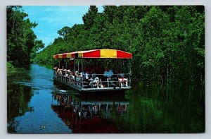 People On Scenic Boat Ride in Homosassa Springs Florida VINTAGE Postcard 0850