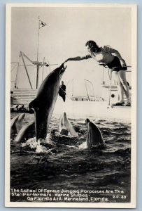 The School Of Jumping Porpoises Star Performer Marineland FL RPPC Photo Postcard