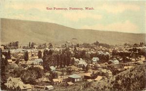 Vintage Postcard; Town View, East Pomeroy WA Garfield County posted