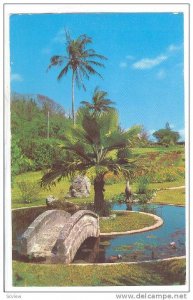 Palm Grove Gardens South Shore, Bermuda, 40-60s