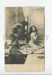 3177064 NUDE Harem BLACK SLAVE Tiger Vintage PHOTO PC