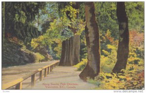 Along Stanley Park Driveway, Vancouver, British Columbia, Canada, PU-1945