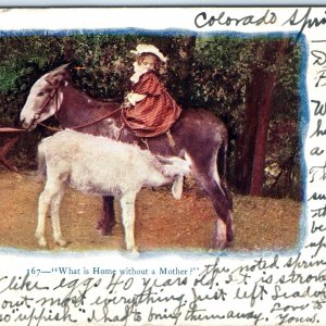 c1900s Home Without Mother? Girl on Pony Donkey Embossed Postcard A118