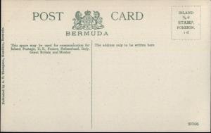 Bermuda Fisherman's House c1910 Postcard EXC COND