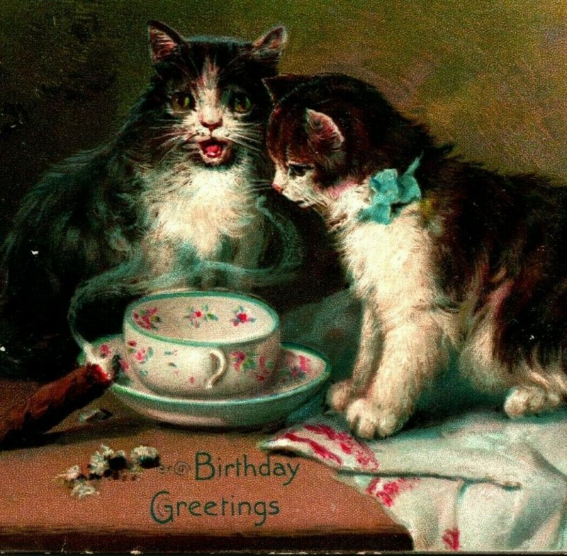 Raphael Tuck Birthday Postcard Series Adorable Kittens Teacup 1910s Postcard