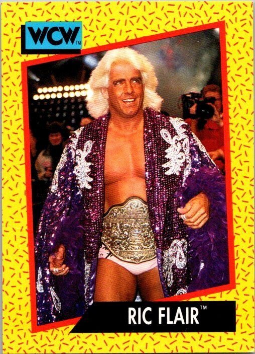 1991 WCW Wrestling Card Ric Flair sk21159