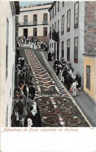 BR100322  alfombras de flores naturales en orotava spain