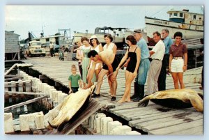 Key West Florida FL Postcard Turtle Crawls Giant Turtles Dock Port c1960 Vintage