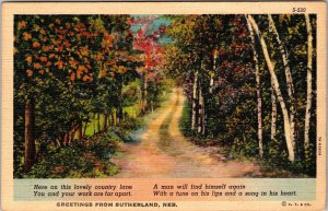 Sutherland NE-Nebraska, Greetings, Scenic Country Lane, Linen c1939 Postcard 