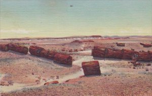 Arizona Petrified Forest Logs In Third Forest