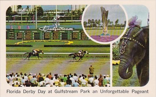 Florida Hallandale Florida Derby Day At Gulfstream Park Horse Racing