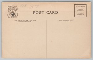 Winona Minnesota~Public Library Front View~Vintage Postcard 