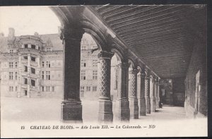 France Postcard - Chateau De Blois - Aile Louis XII - La Colonnade  B1010