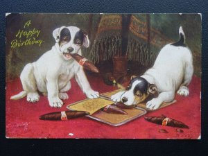 Comic Dog TWO PUPPIES AND CIGARS c1908 Postcard by Raphael Tuck 9362