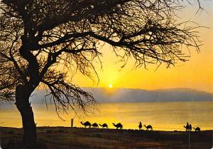 Israel Sunrise on the Dead Sea  Sunrise on the Dead Sea