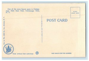 c1940's Chittenango Falls State Park Waterfall Chittenango Falls NY Postcard