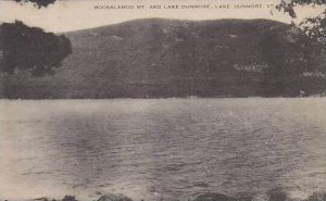 Vermont Lake Dunmore Moosalamoo Mountain And Lake Dunmore Artvue