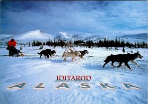 AK, Alaska  IDITAROD DOG SLED RACE  Team Mushing/Racing Competition 4X6 Postcard