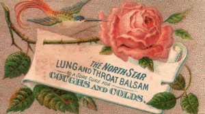 1880s-90s Pink Rose Flower The North Star Throat Balsam Coughs Trade Card