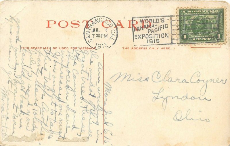 Santa Cruz Grove California 1915 Postcard Jumbo Redwood by Detroit Publishing