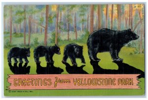 Yellowstone National Park Wyoming WY Postcard Greetings Bear Scene 1941 Vintage