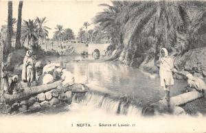 B91951 nefta source et lavoir tunisia    africa