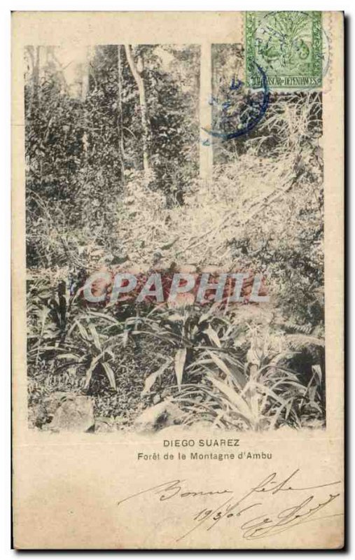 Postcard Old Diego Suarez Foret De La Montagne d & # 39Ambu Madagascar