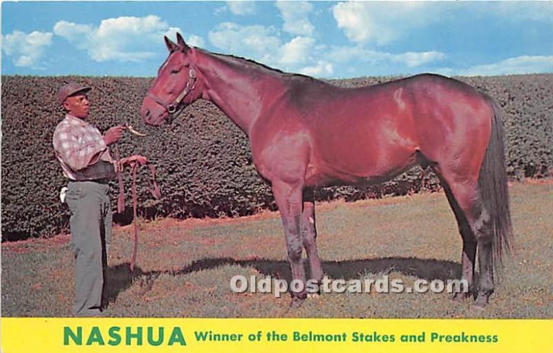 Nashua, Winner of the Belmont Stakes and Preakness Lexington, KY , USA Horse ...