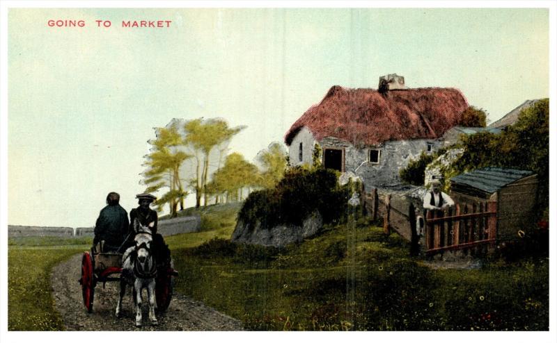 Ireland    Woman in donkey Cart going to Market