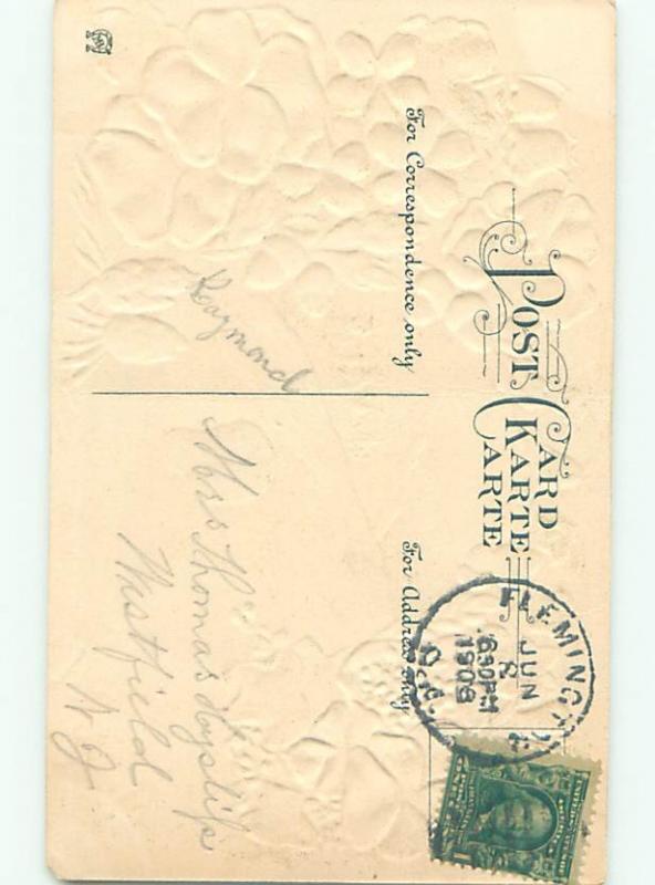 Divided-Back BEAUTIFUL FLOWERS SCENE Great Postcard AA2502