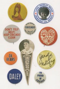 Chicago Bears Cubs Baseball Old Badge Button Postcard