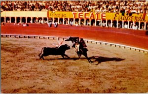 Tijuana Mexico Bull Fight Horseback Rejoneador Colores Naturales Postcard Vtg 