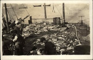 Cutler Maine ME Fishing Dock Fishermen Real Photo Postcard 1920s-30s