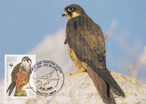 Eleonora's Falcon Malta Maltese Bird Stamp WWF Rare Postcard