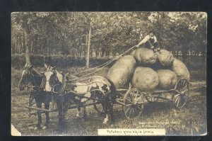 RPPC WH MARTIN EXAGGERATION POTATOE FARMING VINTAGE REAL PHOTO POSTCARD