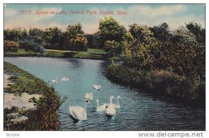 Swans on Lake, Central Park, Topeka,  Kansas, PU-1912