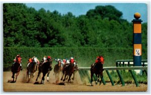 WILMINTON, DE  ~ Horses on Homestretch DELAWARE PARK RACE TRACK c1950s Postcard