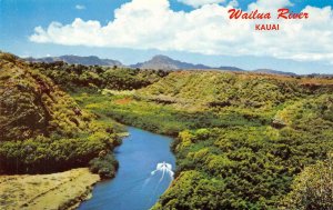 WAILUA RIVER Kauai, Hawaii c1950s Mike Roberts Vintage Postcard