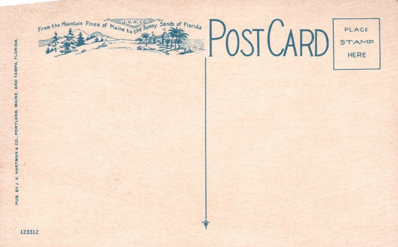Vintage Postcard 1920's Glen Ellis Falls River White Mountain National Forest NH