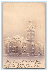 1906 City Hall Building Airbrushed Buffalo New York NY, Embossed Posted Postcard 