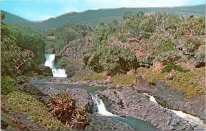 Postcard HI Maui - Seven Sacred Pools at Kipahulu