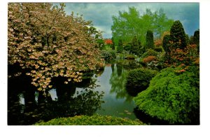Trees, Forest Lawn Memorial Park, Vancouver, British Columbia