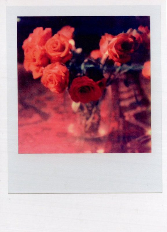 Bouquet Of Roses Award Analog Film Camera Photo Postcard